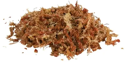 Trixie Reptiland veenmos tropisch 4 x 4,5 l – terrariumsubstraat - Afbeelding 2