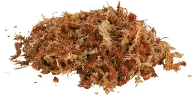 Trixie Reptiland veenmos tropisch 4 x 4,5 l – terrariumsubstraat - Afbeelding 3