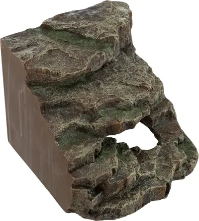 Trixie Reptiland hoekrots regenwoud 19 x 17 x 17 cm – met platform