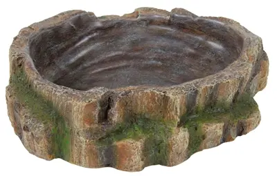 Trixie Reptiland waterschaal regenwoud 18 x 17 x 4,5 cm – polyesterhars