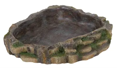Trixie Reptiland waterschaal regenwoud 24 x 20 x 5,5 cm – polyesterhars