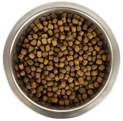 Yourdog hondenvoer Koningspoedel Pup 12 kg – buffel en gevogelte