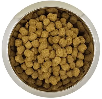 Yourdog hondenvoer Koningspoedel Senior 12 kg – buffel en gevogelte
