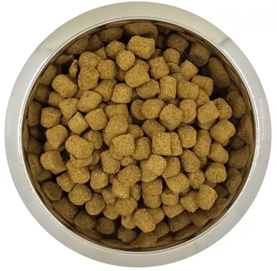 Yourdog hondenvoer Koningspoedel Adult 12 kg – buffel en gevogelte