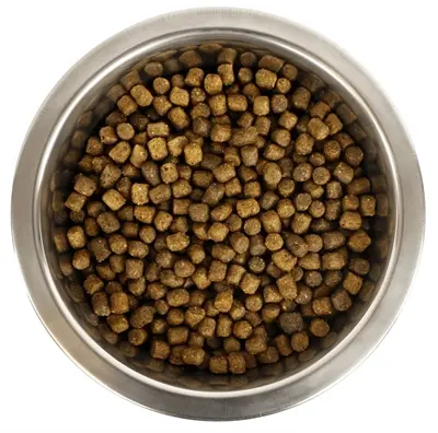 Yourdog hondenvoer Dwerg- of Toypoedel Pup 12 kg – buffel en gevogelte