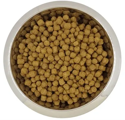 Yourdog hondenvoer Dwerg- of Toypoedel Adult 12 kg – buffel en gevogelte
