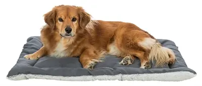 Trixie ligmat Farello wit-grijs/grijs 70 x 55 cm – platte mat, pluche - Afbeelding 5