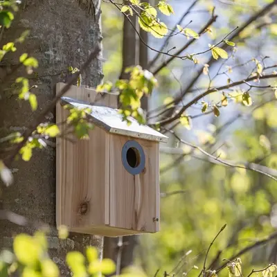 Trixie nestkast voor spreeuwen grenenhout 18 x 31 x 16 cm - Afbeelding 9