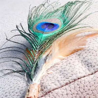 Croci Euphoria kattenhengel matatabi met pauwenveer 12 cm - Afbeelding 4