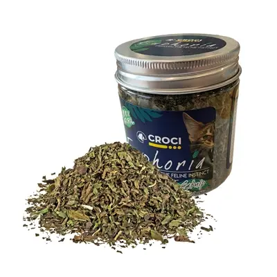 Croci Euphoria kattenkruid pot 25 g – catnip met matatabi