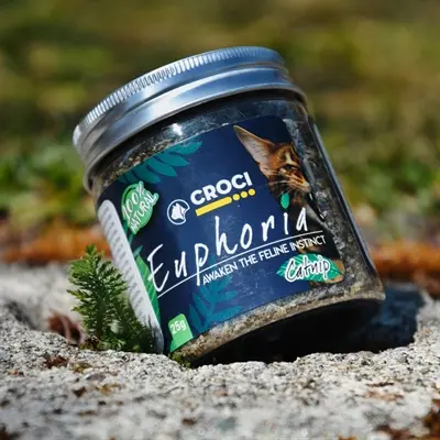 Croci Euphoria kattenkruid pot 25 g – catnip met matatabi - Afbeelding 2