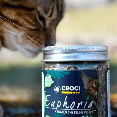 Croci Euphoria kattenkruid pot 25 g – catnip met matatabi - Afbeelding 3
