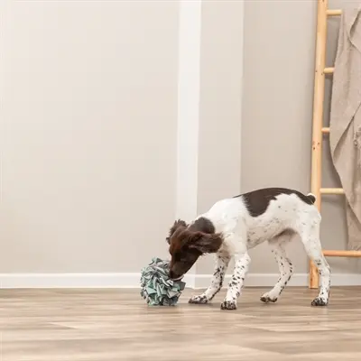 Trixie Dog Activity snuffelbal 15 cm – polyester speelbal - Afbeelding 9