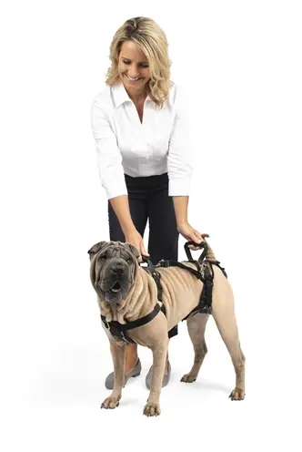 Petsafe Carelift full-body tuig Medium – voor en achter, 4 tilmethoden - Afbeelding 7