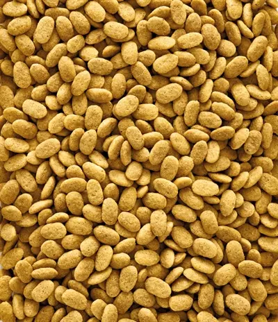Nutribird P15 Original papegaaienvoer 10 kg – onderhoudsvoeder pellets
