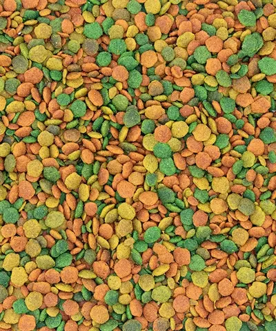 Nutribird G14 Tropical onderhoudsvoeder grote parkieten 1 kg - Afbeelding 4