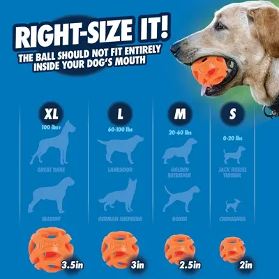 Chuckit Breathe Right Fetch Ball hondenbal M 6 cm – set van 2 - Afbeelding 8