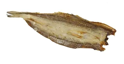 Petsnack lekkerbekjes witvis 500 g – hondensnack