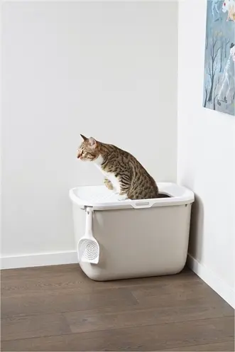 Savic kattenbak Hop In wit/mokka 58,5 x 39 x 39,5 cm – boveninstap - Afbeelding 11