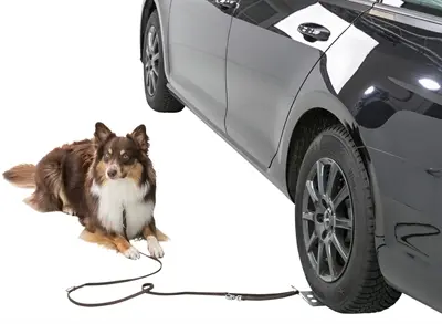 Trixie aanlijnplaat voor honden grijs 12 x 31 cm – onder het autowiel