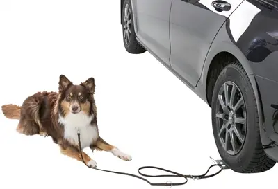 Trixie aanlijnplaat voor honden grijs 12 x 31 cm – onder het autowiel - Afbeelding 2