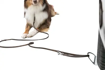 Trixie aanlijnplaat voor honden grijs 12 x 31 cm – onder het autowiel - Afbeelding 3