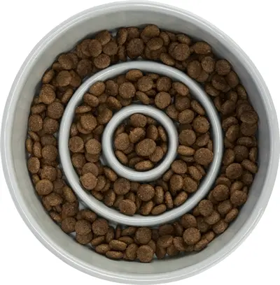 Trixie slowfeeding voerbak keramiek grijs/blauw 17 cm 900 ml – voor honden - Afbeelding 7