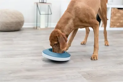 Trixie Slowfeeding Rocking Bowl 23 cm 500 ml – anti-schrokbak, grijs/blauw - Afbeelding 5