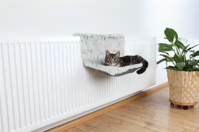 Trixie radiatorhangmat Harvey langhaar pluche wit/zwart 45 x 31 x 26 cm - Afbeelding 5