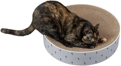 Trixie krabmand Lilly karton met catnip lichtgrijs 45 x 10 cm - Afbeelding 8
