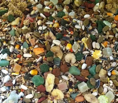 Hareco Papegaai Select papegaaienvoer zonder pellets 3 kg