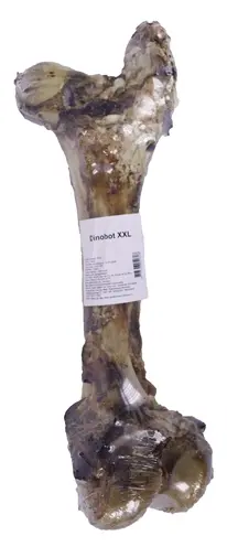 Petsnack Dinobot XXL 1 stuk – kluifbeen van 100% rund - Afbeelding 4