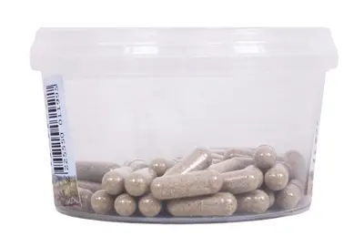 Dierendrogist echinacea bio capsules 50 stuks – honden en katten - Afbeelding 5