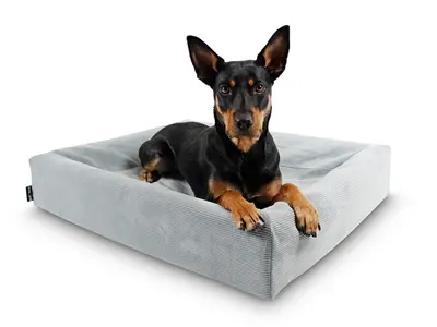 Bia Bed rib hoes hondenmand grijs 60 x 50 x 12,5 cm – corduroy, maat 2 - Afbeelding 5