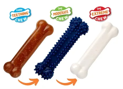 Nylabone Puppy Chew starterkit kipsmaak – 3 kauwspeeltjes, tot 11 kg - Afbeelding 4