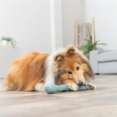 Trixie snackslang TPR 27 cm – hondenspeelgoed om te vullen - Afbeelding 9