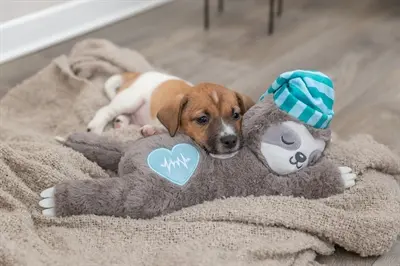 Trixie pluche luiaard grijs met heartbeat 34 cm – knuffel voor pups - Afbeelding 10