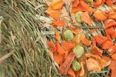 Trixie hooipendel erwten en wortel 250 g – snack voor knaagdieren - Afbeelding 5