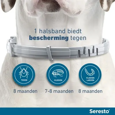 Bayer Seresto teken- en vlooienband hond L 70 cm – set van 2 halsbanden - Afbeelding 4