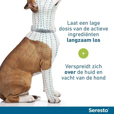 Bayer Seresto teken- en vlooienband hond L 70 cm – set van 2 halsbanden - Afbeelding 5