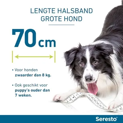 Bayer Seresto teken- en vlooienband hond L 70 cm – set van 2 halsbanden - Afbeelding 6