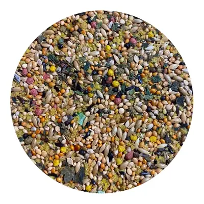 Utopia vogelvoer tropische vogels Top Quality 1 kg – met tijmpoeder - Afbeelding 5