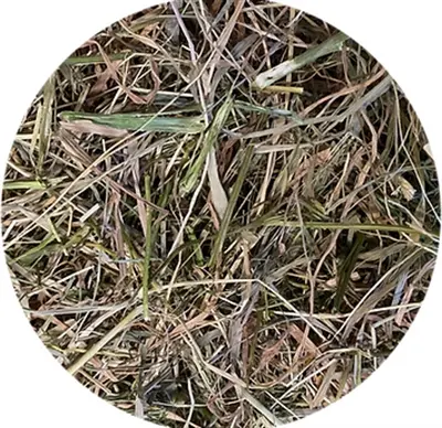 Utopia timothyhooi met peterselie 450 g – voor konijnen en knaagdieren - Afbeelding 4