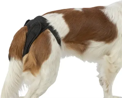 Trixie beschermbroekje Comfort mesh zwart S 30-37 cm – verstelbaar - Afbeelding 7