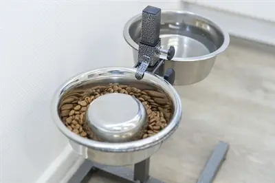 Trixie slowfeeder RVS 24 cm 1,5 liter – antislip, voor honden - Afbeelding 6