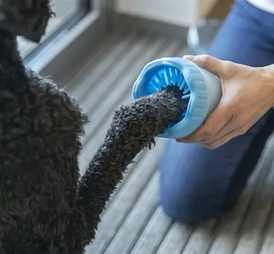 Trixie pootreiniger hond silicone blauw 15 cm – maat M/L - Afbeelding 7