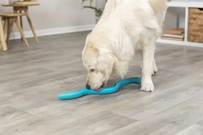 Trixie TPR snackslang 59 cm – hondenspeelgoed om te vullen - Afbeelding 10