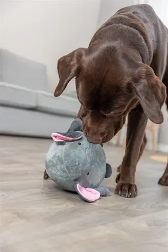 Trixie hondenspeelgoed olifant pluche 27 cm – zonder geluid - Afbeelding 3