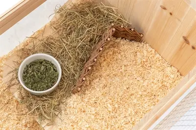 Trixie hoekelement voor muizen en hamsters wilg 20 x 10 x 13 cm - Afbeelding 6