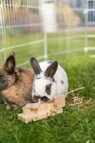 Trixie Snack Cups hout – spel voor ratten en konijnen - Afbeelding 8
